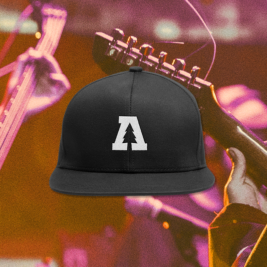 Audiotree Snapback